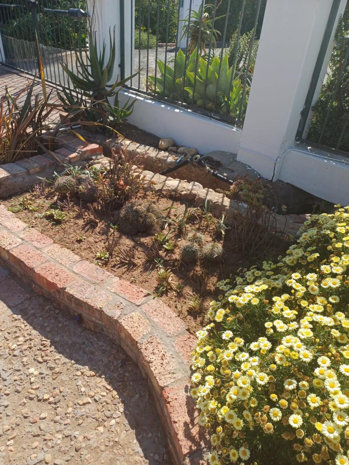 De Oude Yotclub Bed & Breakfast Oudtshoorn Exterior photo